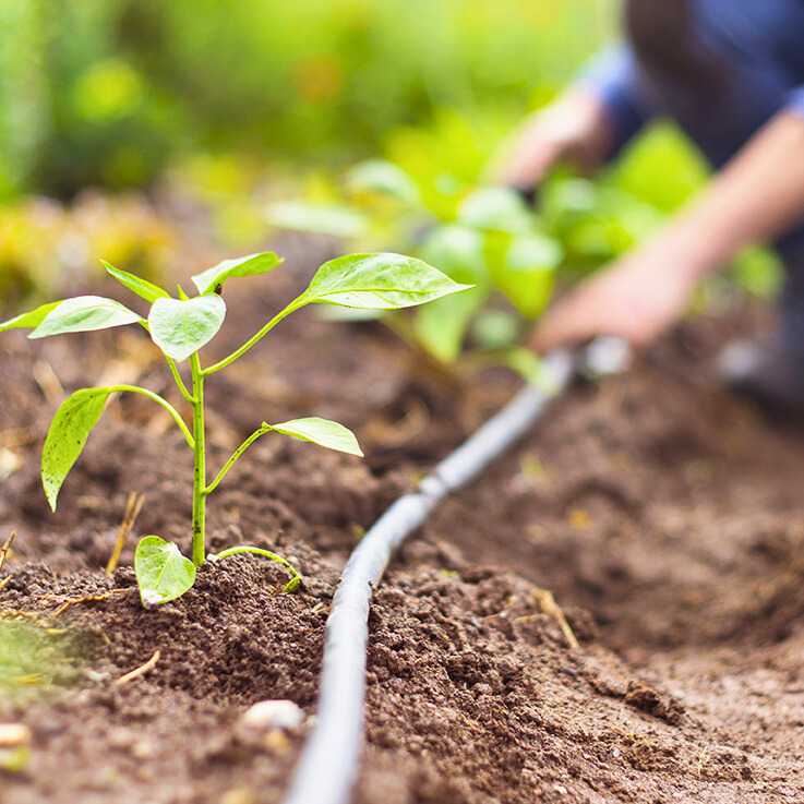 Gartenbewässerung