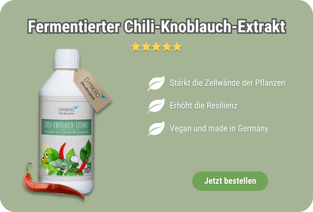Chili-Knoblauch-Extrakt kaufen