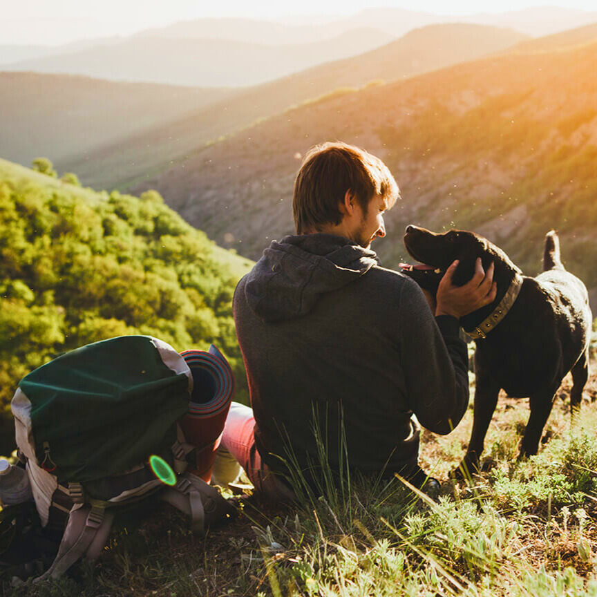 Urlaub mit Hund: Packliste, Reisetipps & die besten Aktivitäten