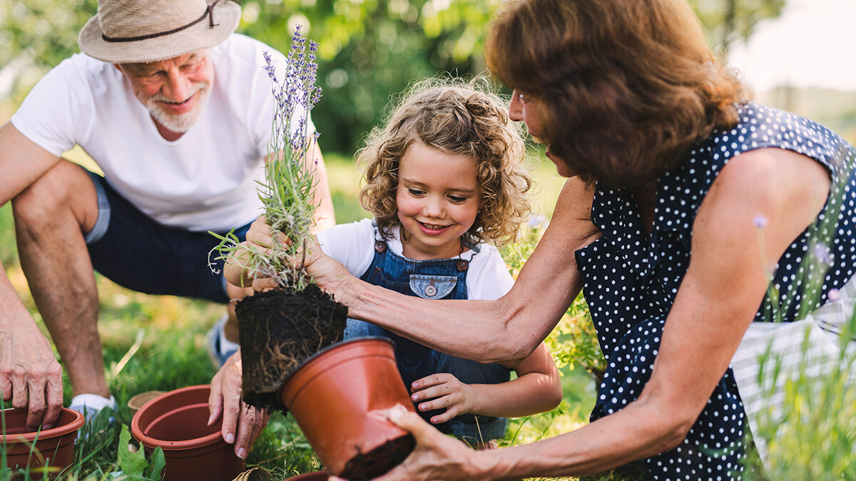 Checkliste für die Gartenarbeit im Frühling – das ist jetzt zu tun