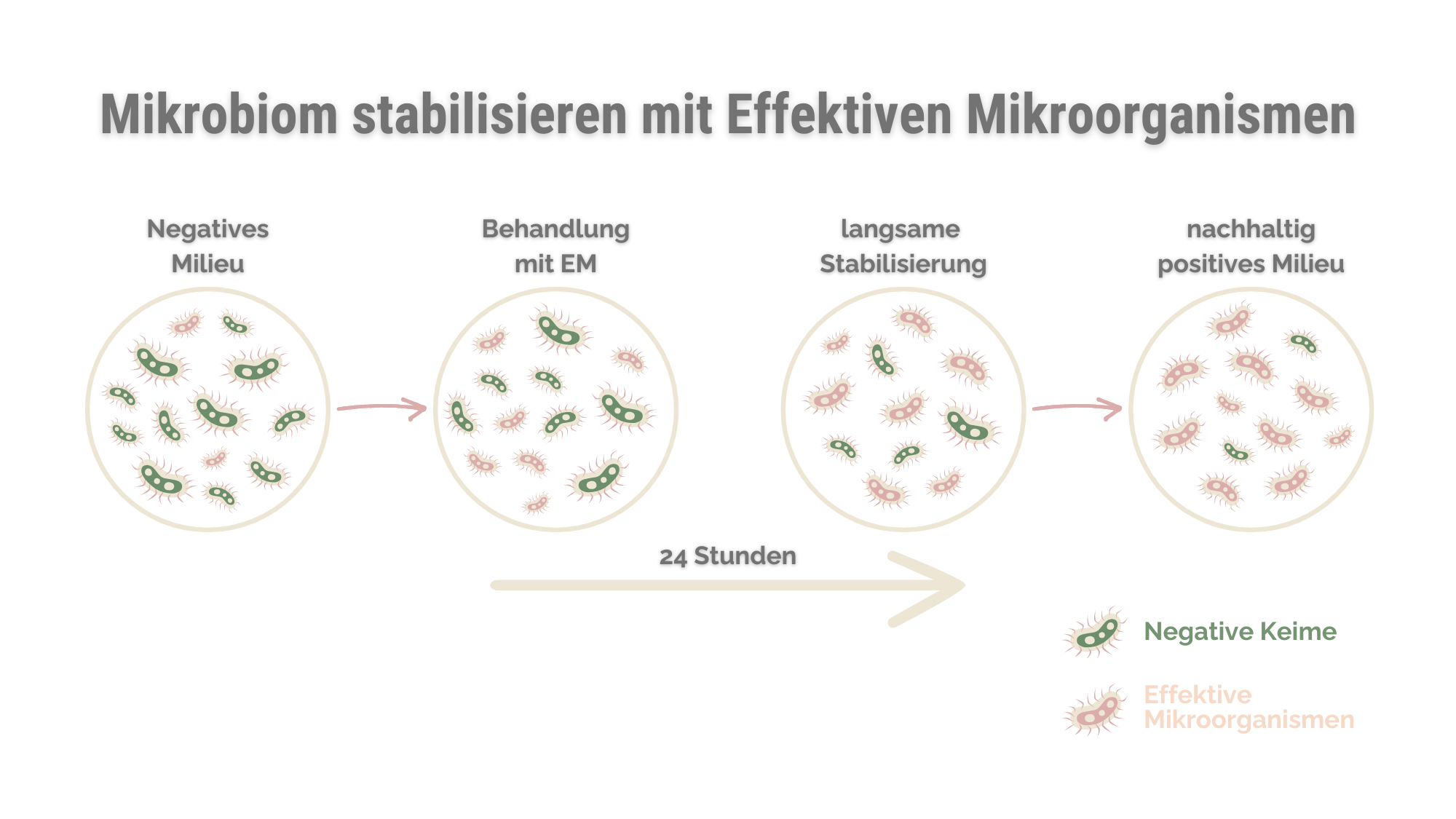 Mikrobiom stabilisieren mit EM