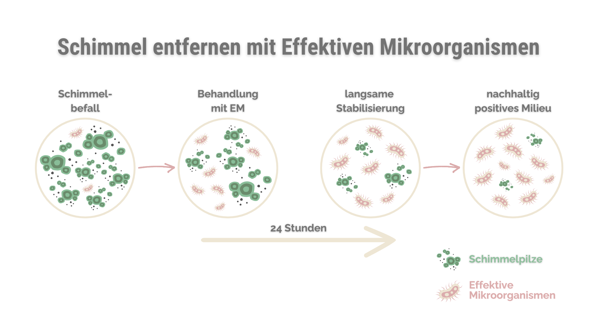 Milieu verbessern mit Effektiven Mikroorganismen