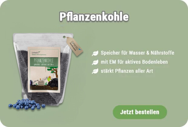 Pflanzenkohle kaufen