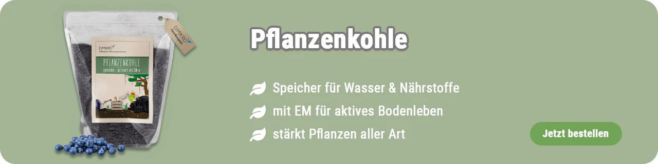 Pflanzenkohle kaufen