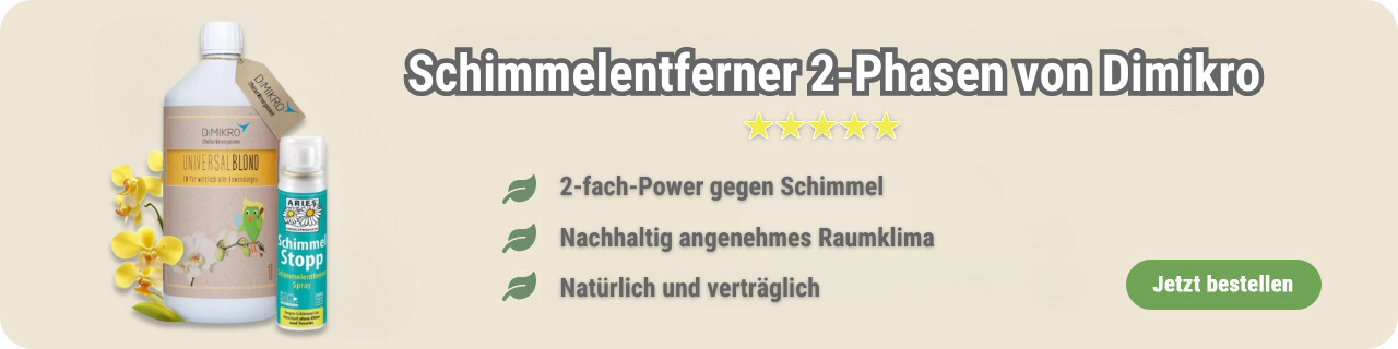 Schimmelentferner kaufen